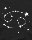 Zodiakas Vėžys
